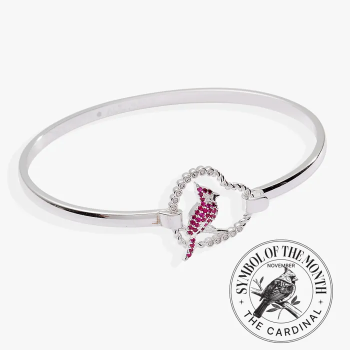 Bracelets Women Alex And Ani Cardinal Bangle Silver