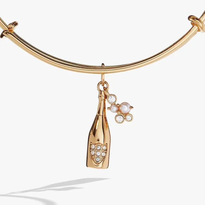 Bracelets Women Alex And Ani Champagne Bangle Gold