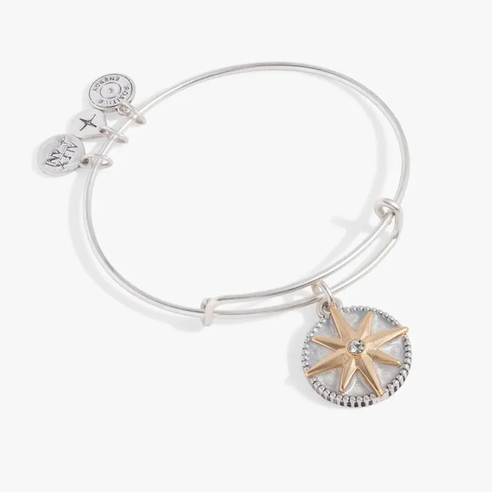 Bracelets Women Alex And Ani Compass Charm Bangle Two Tone