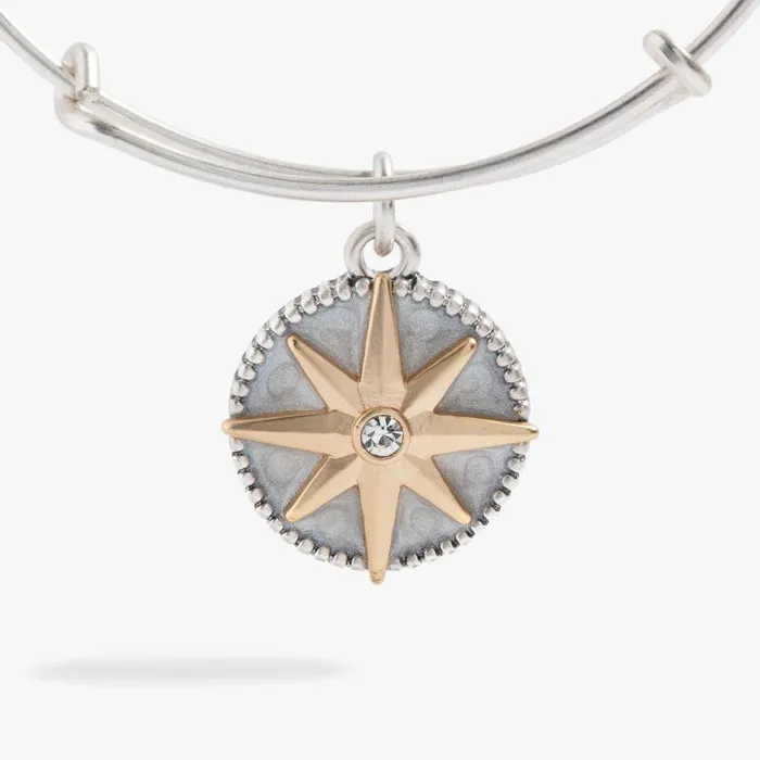 Bracelets Women Alex And Ani Compass Charm Bangle Two Tone