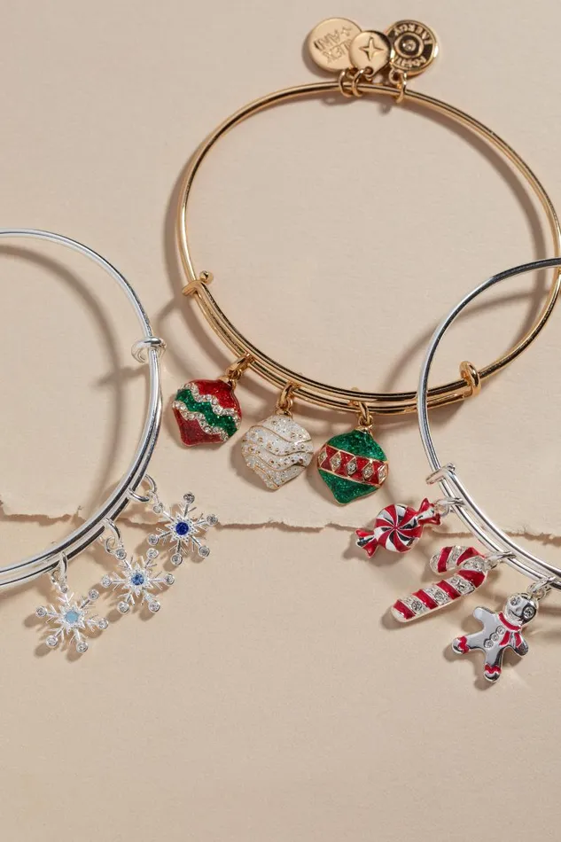 Bracelets Women Alex And Ani Snowflake Charm Bangle Stainless Steel Silver