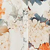 Dresses and Jumpsuits LEO LIN Women Bianca Short Sleeve Midi Dress 8211 Hydrangea Print in Vanilla