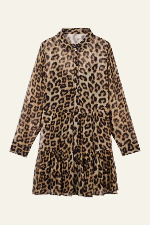 FusionShort Dress Clothing Baandsh Dresses