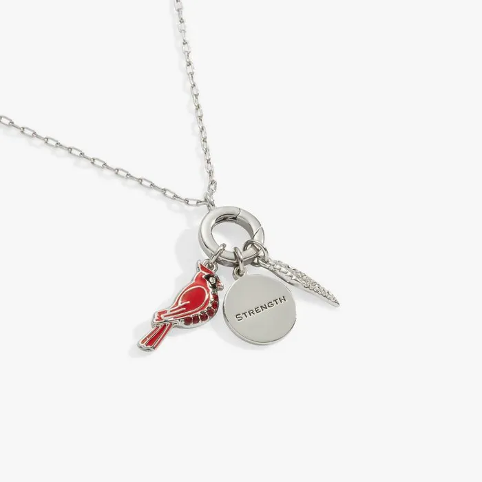 Jewelry Sets Women Alex And Ani Cardinal Mix Match Charm Necklace Silver