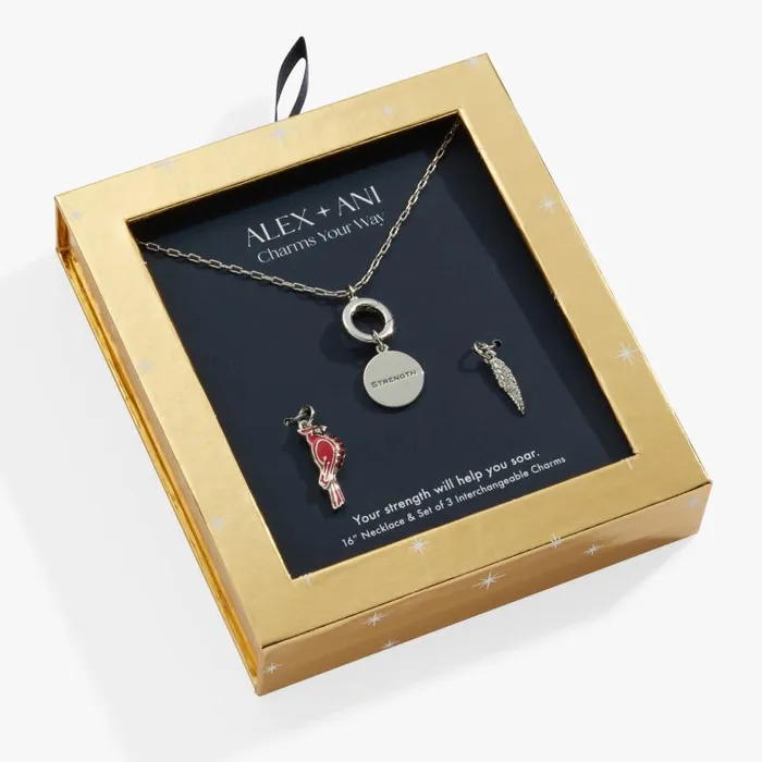 Jewelry Sets Women Alex And Ani Cardinal Mix Match Charm Necklace Silver
