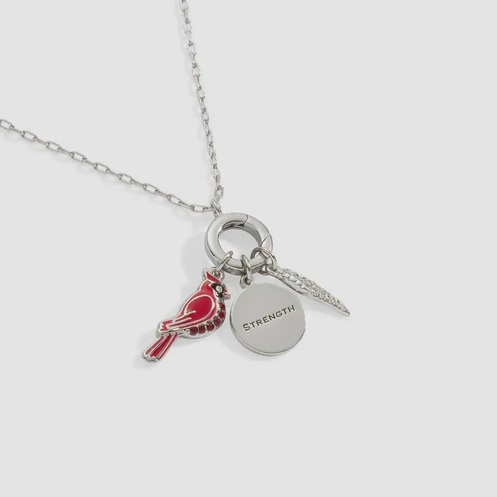 Jewelry Sets Women Alex And Ani Cardinal Mix Match Charm Necklace Silver