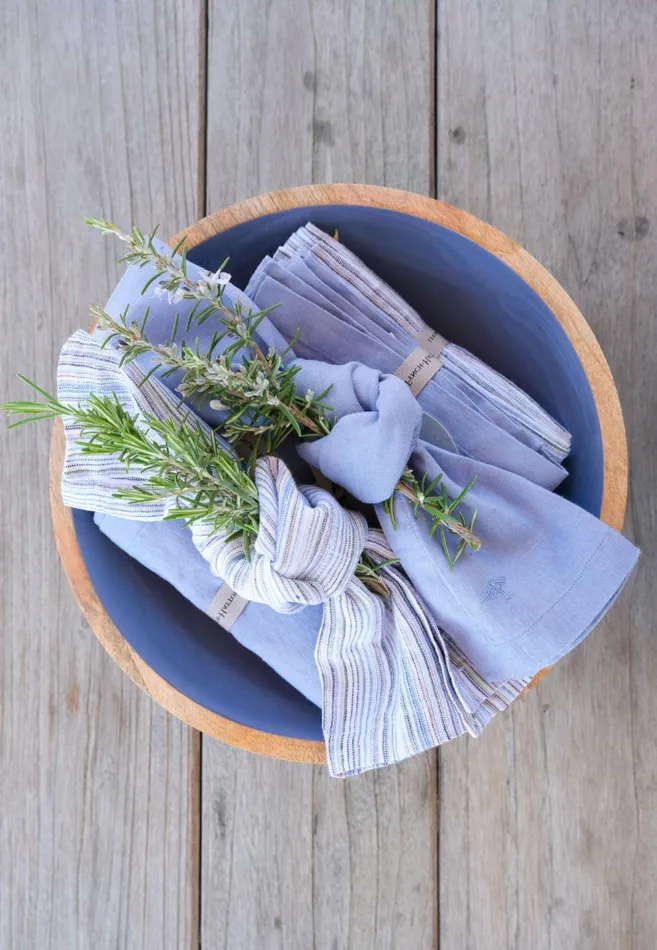 Kitchen Accessories Living FYNCHHATTON Sandibe Napkins Set Of 4 Hot Pinkdove Blueblue Stripedelephant Graysage