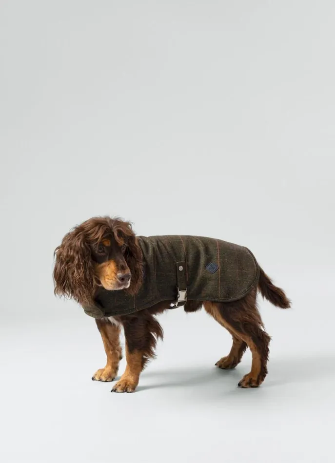 Men Hackett X Hugo and Hudson Hackett London Checked Jacket For Dogs 8211 Medium Green Men Hackett X Hugo and Hudson Hackett London Checked Jacket For Dogs 8211 Medium Green