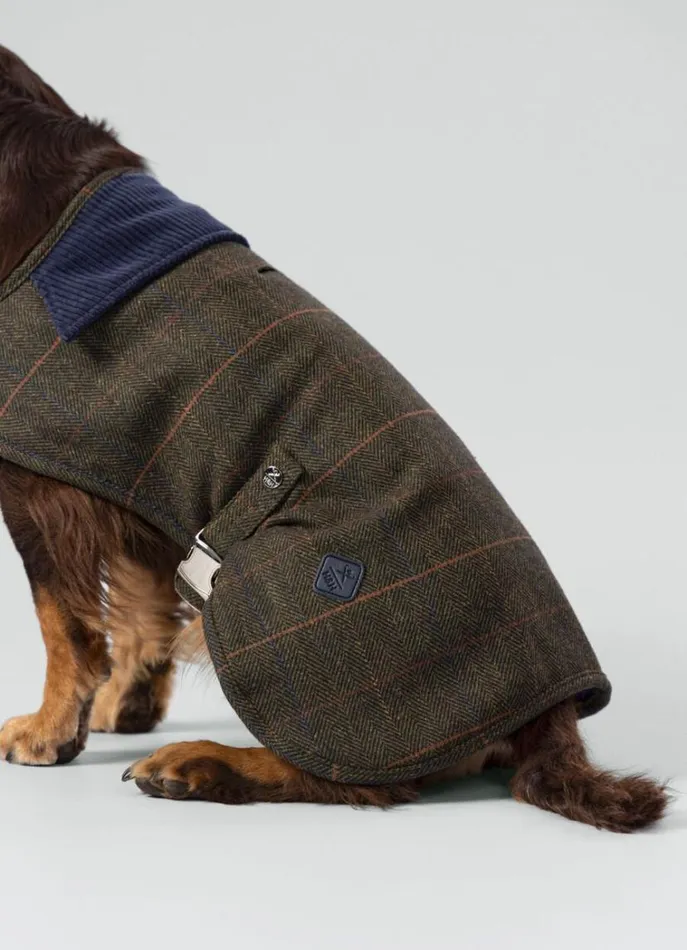 Men Hackett X Hugo and Hudson Hackett London Checked Jacket For Dogs 8211 Medium Green