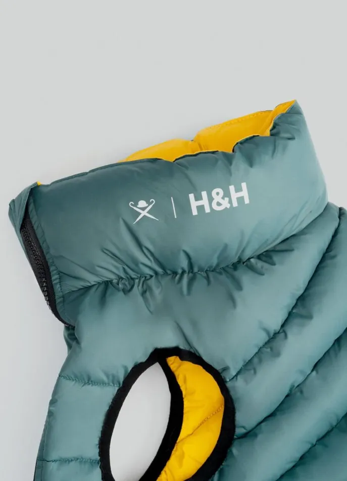 Men Hackett X Hugo and Hudson Hackett London Reversible Puffer Jacket For Dogs 8211 Small Goldgreen Not Available