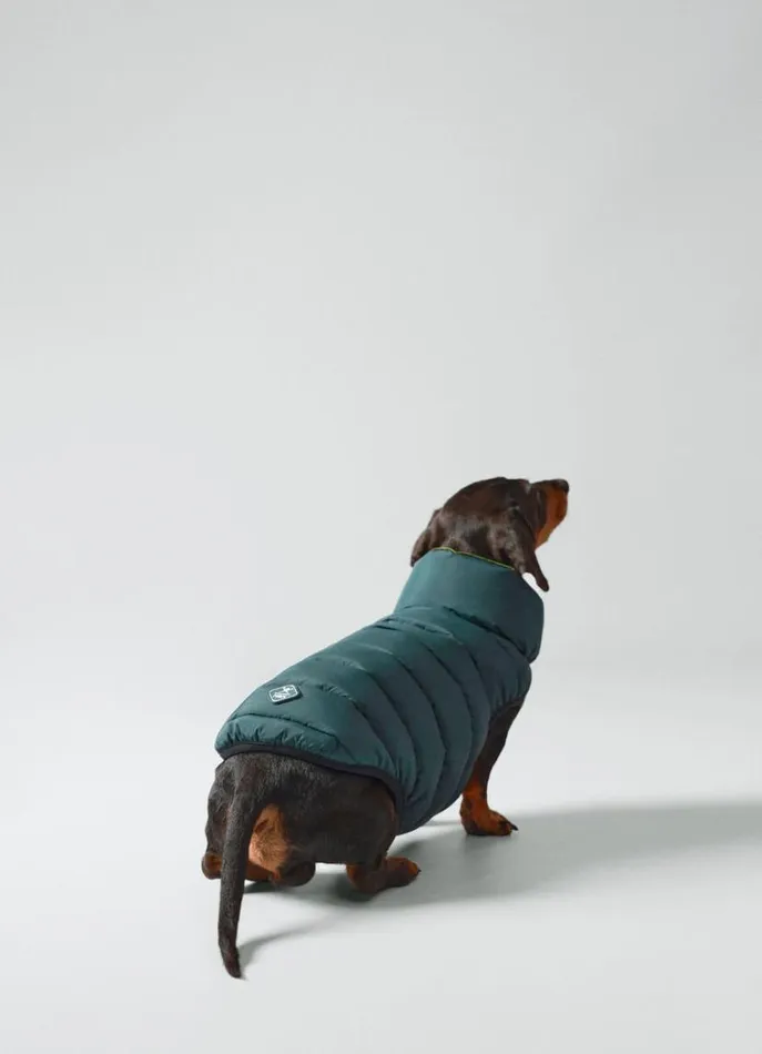 Men Hackett X Hugo and Hudson Hackett London Reversible Puffer Jacket For Dogs 8211 Small Goldgreen Not Available