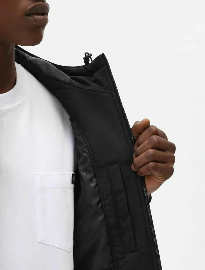 Men Jackets Dickies New Sarpy Jacket Black
