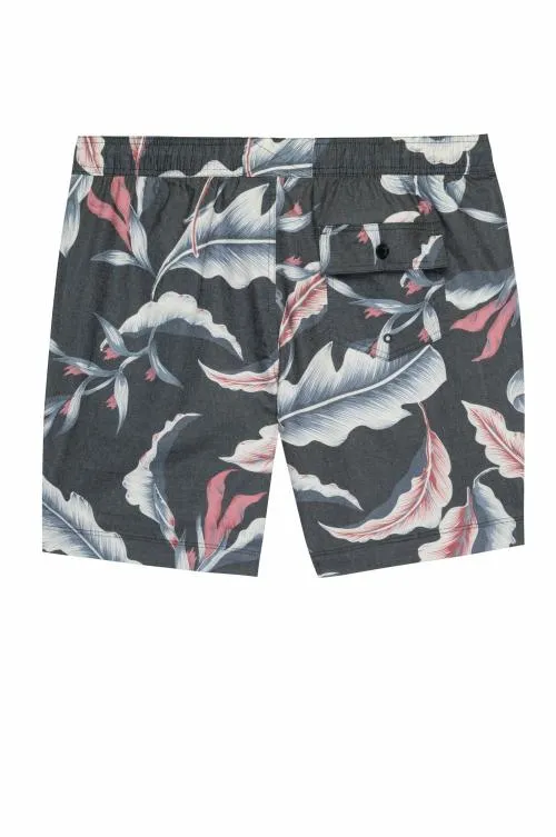 Men Rails Shorts and Swim Kian Swim Short Paradise Nights Men Rails Shorts and Swim Kian Swim Short Paradise Nights