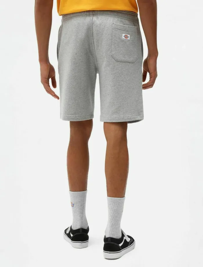 Men Shorts Dickies Champlin Short Grey Melange
