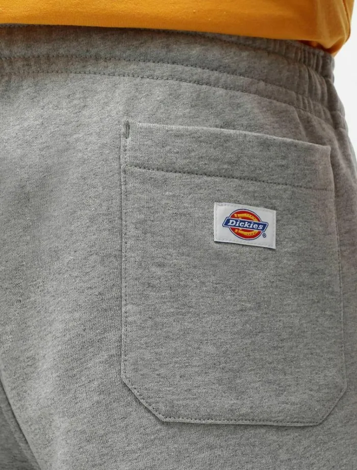 Men Shorts Dickies Champlin Short Grey Melange