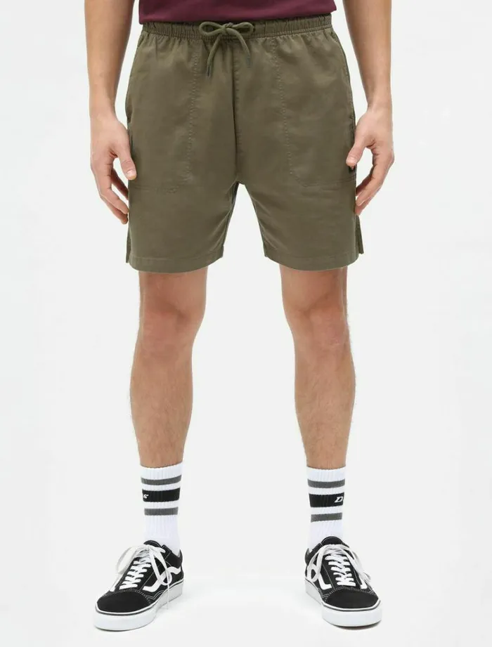 Men Shorts Dickies Pelican Rapids Military Green