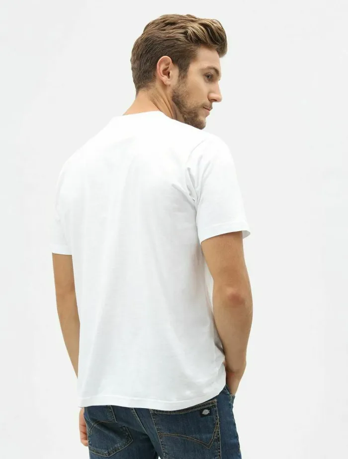 Men TShirts Dickies 3pack MultiColour TShirt Assorted