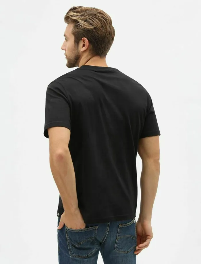 Men TShirts Dickies 3pack MultiColour TShirt Assorted