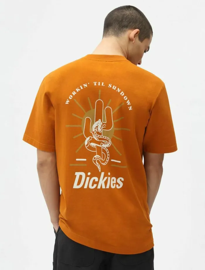 Men TShirts Dickies Bettles TShirt Pumpk Spice