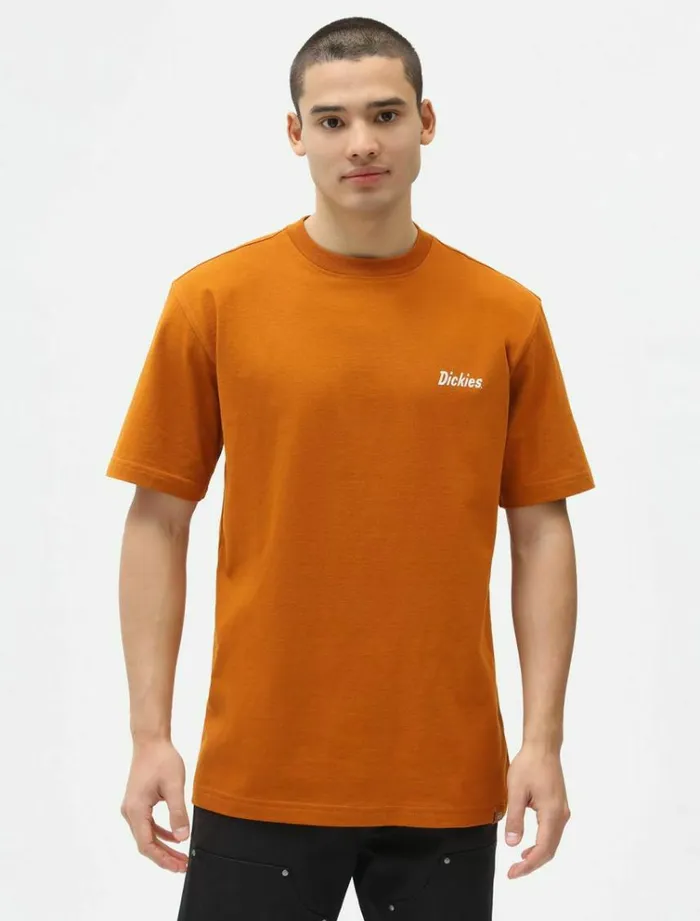 Men TShirts Dickies Bettles TShirt Pumpk Spice
