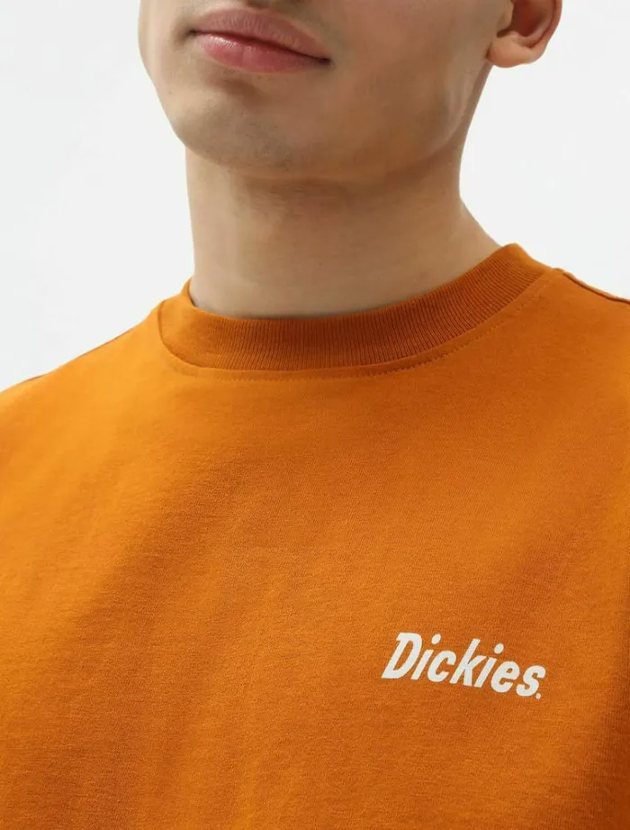 Men TShirts Dickies Bettles TShirt Pumpk Spice