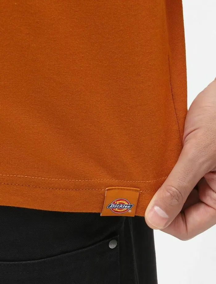 Men TShirts Dickies Bettles TShirt Pumpk Spice