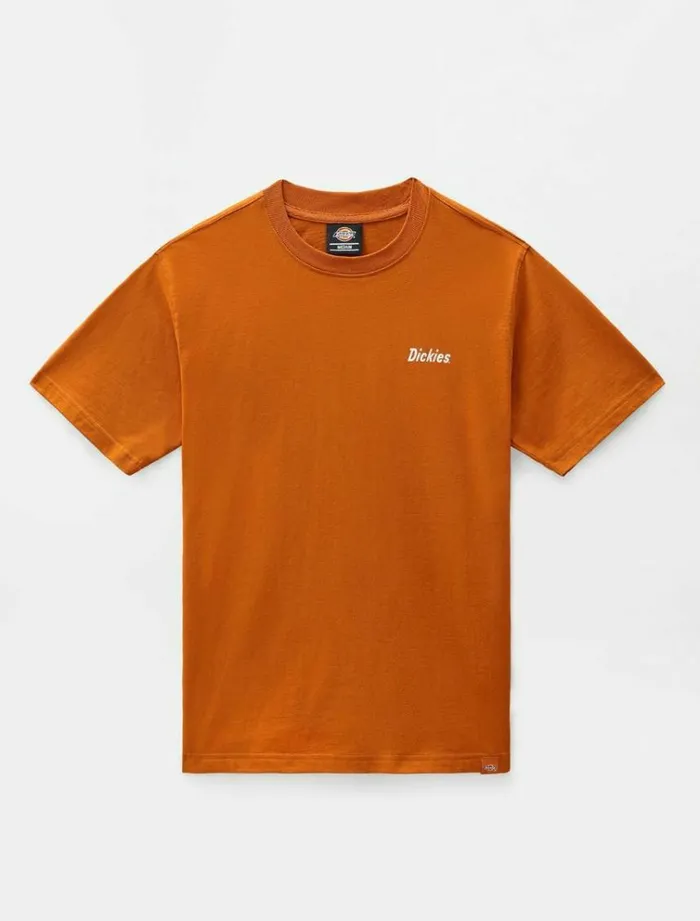 Men TShirts Dickies Bettles TShirt Pumpk Spice