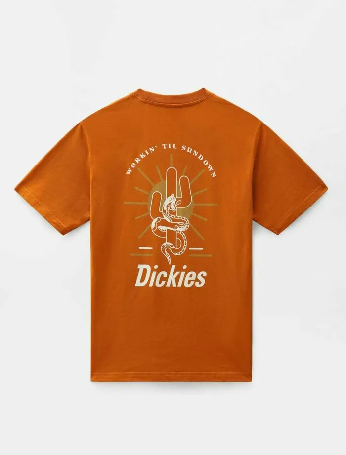 Men TShirts Dickies Bettles TShirt Pumpk Spice