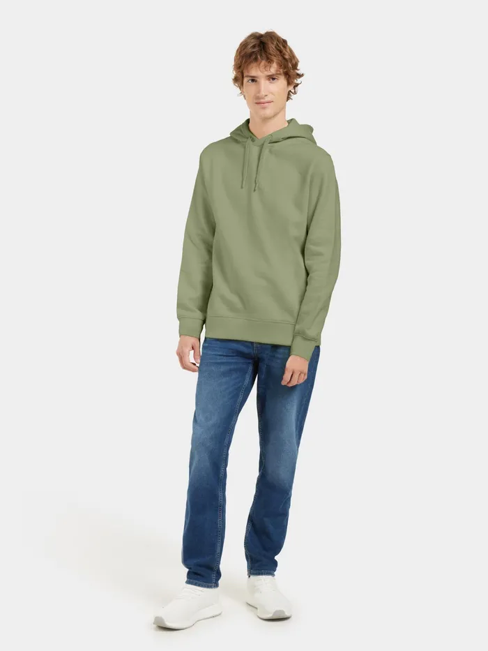 Men Ven Hoodie Landscape Light Moss Didriksons Hoodies and Sweatshirts