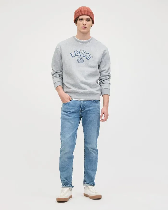 RWandCO Sweatshirts and Hoodies RelaxedFit LongSleeve CrewNeck Pullover 8211 Levi039s Heather Grey 8211 Men RWandCO Sweatshirts and Hoodies RelaxedFit LongSleeve CrewNeck Pullover 8211 Levi039s Heather Grey 8211 Men