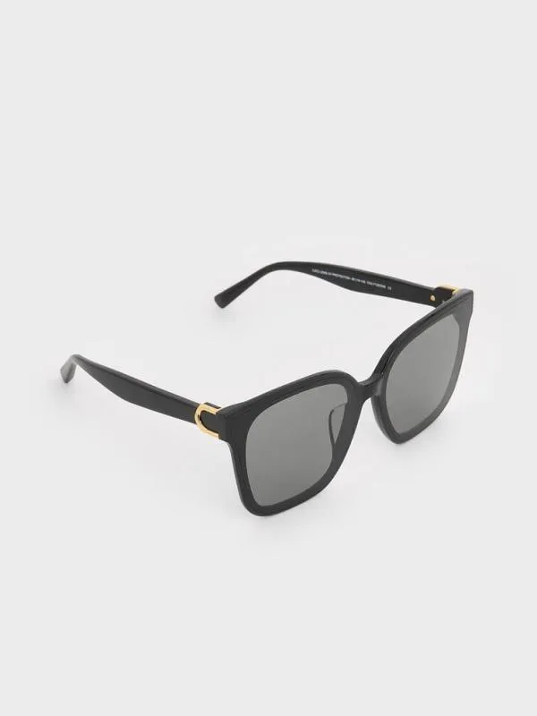 Women Gabine Oversized Butterfly Sunglasses 8211 Black CHARLES and KEITH Butterfly