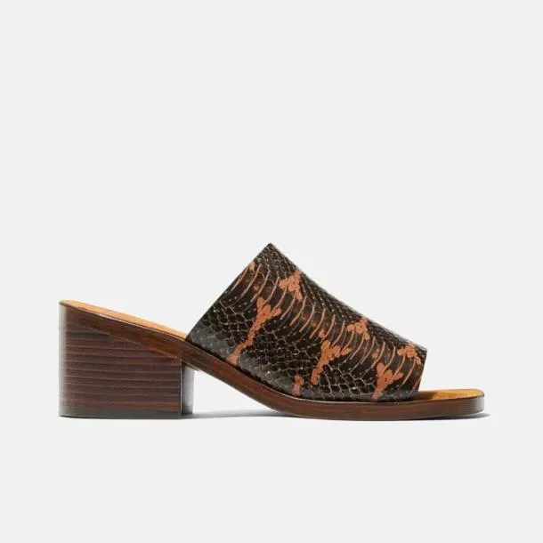 Women VINNY Wood Brown Snake Printed Clergerie Mules