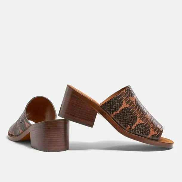 Women VINNY Wood Brown Snake Printed Clergerie Mules